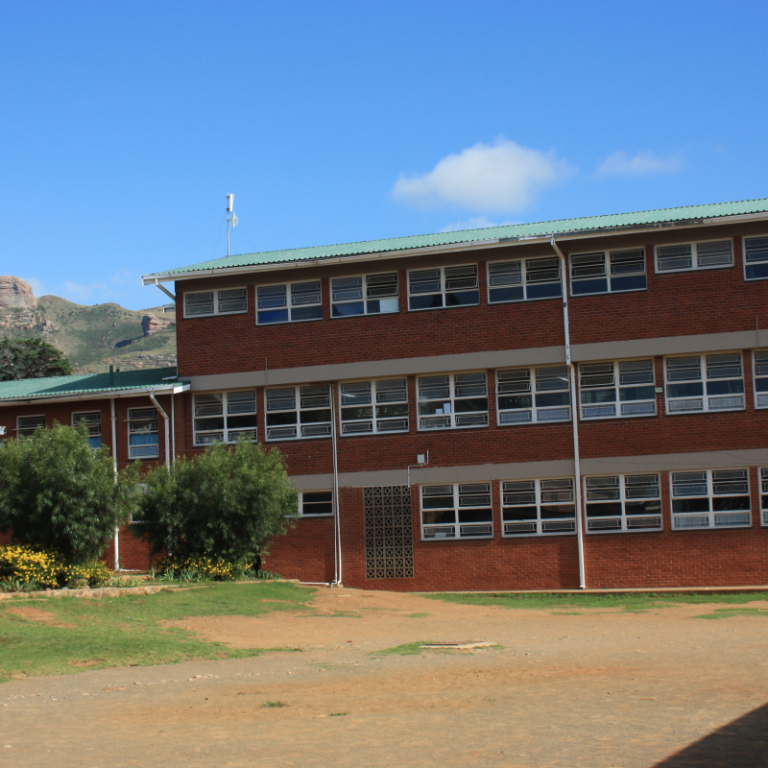 Zassies - Ons Skool