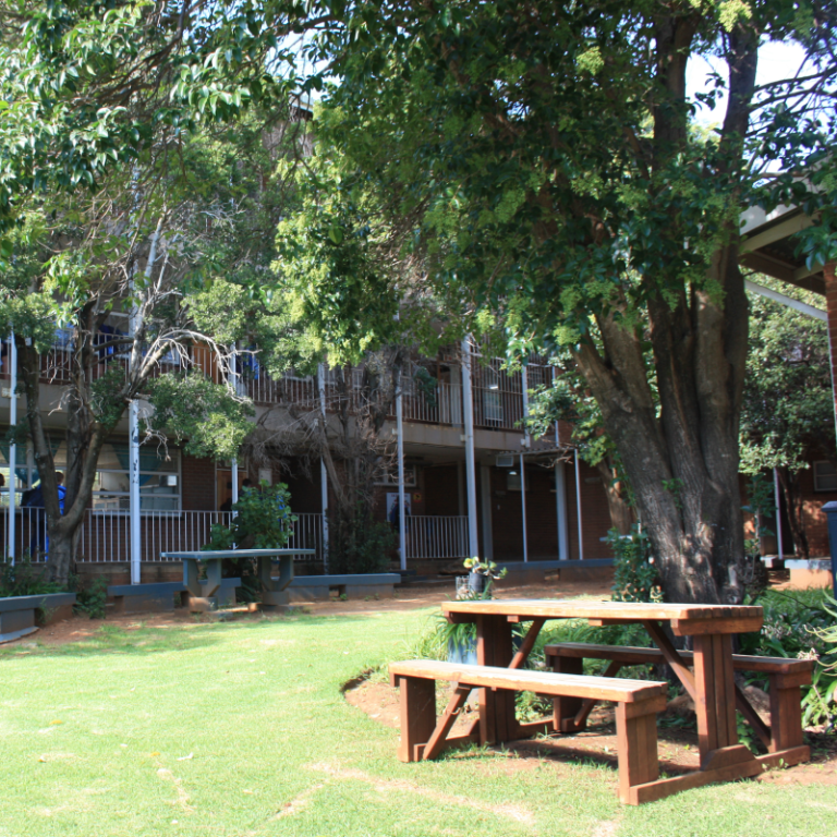 Zassies - Ons Skool