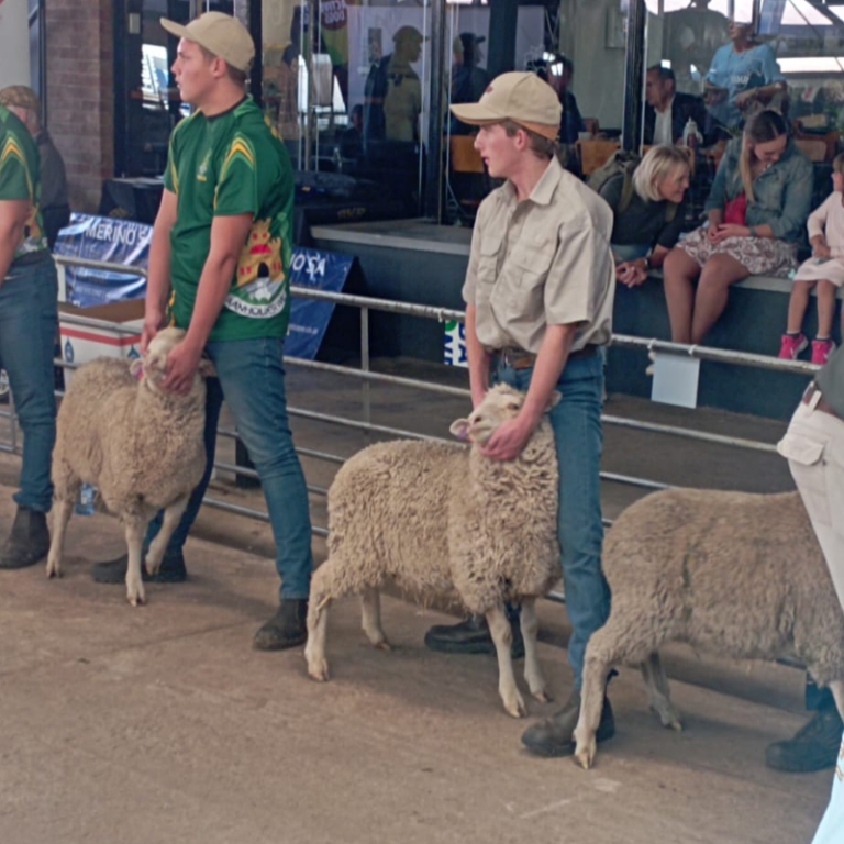 Zassies Landbou