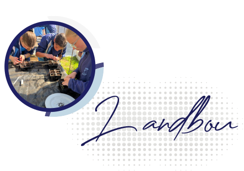 Zassies - Landbou